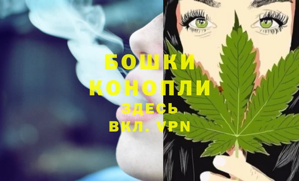Альфа ПВП Гусиноозёрск