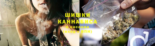 Альфа ПВП Гусиноозёрск