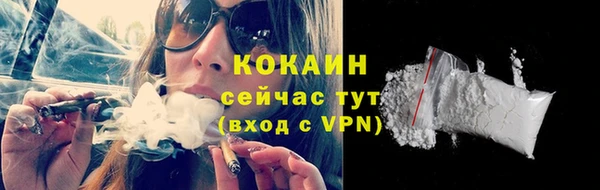 дживик Гусь-Хрустальный