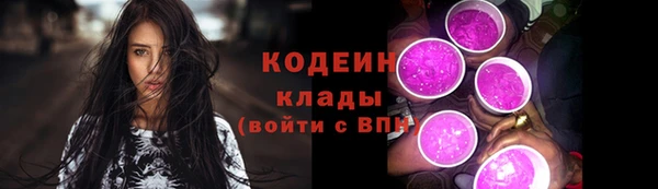 дживик Гусь-Хрустальный