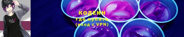 дживик Гусь-Хрустальный