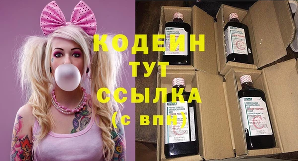 первитин Гусев