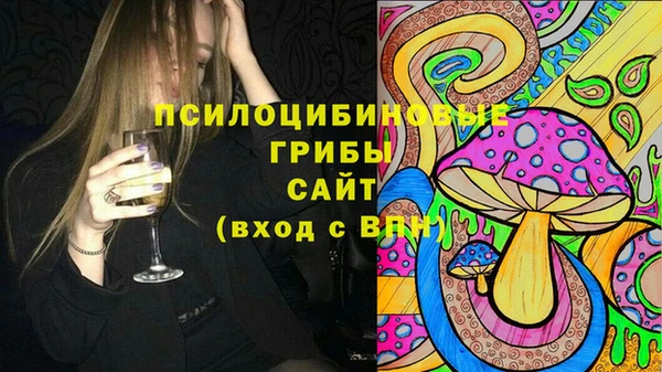 дживик Гусь-Хрустальный
