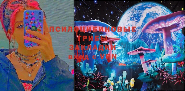 дживик Гусь-Хрустальный