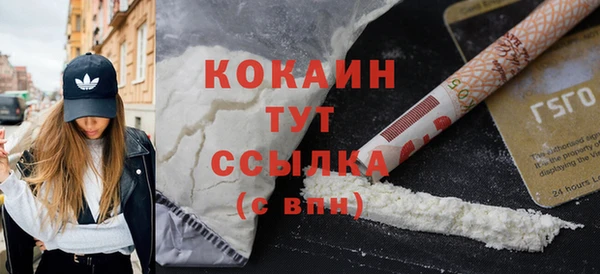 дживик Гусь-Хрустальный