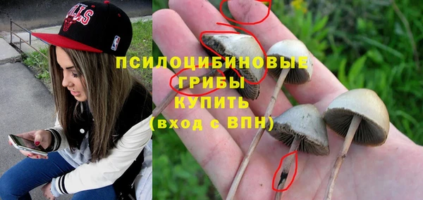 Альфа ПВП Гусиноозёрск