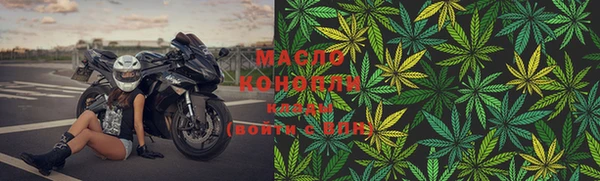 первитин Гусев