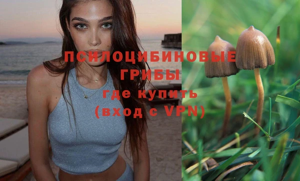 первитин Гусев