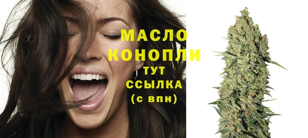 первитин Гусев