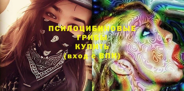 Альфа ПВП Гусиноозёрск